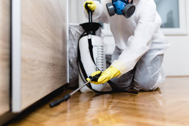 Best Mosquito Control Services  in , AR
