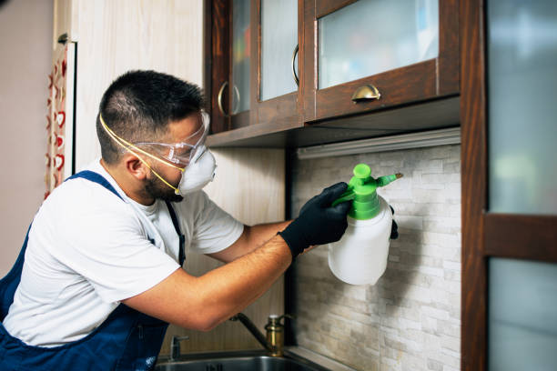 Best Emergency Pest Control  in , AR