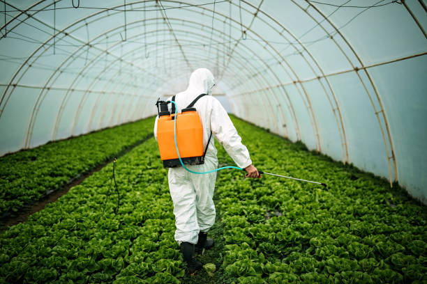 Best Local Pest Control Services  in , AR
