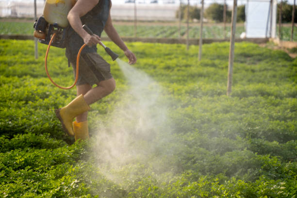 Best Commercial Pest Control Services  in , AR