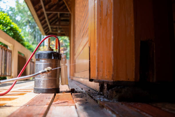 Best Exterminator Services  in , AR